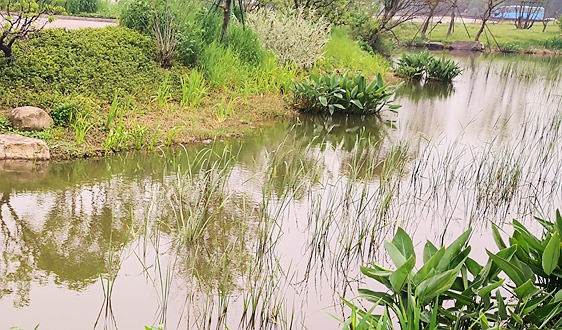 青海：756项河湖“四乱”问题全部整改销号