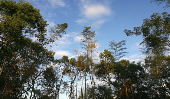 两周年丨长江大保护江西区域建设纪实